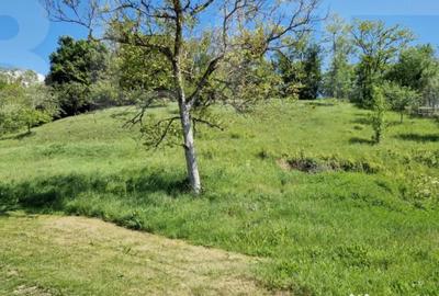 Casă cu 4 camere cu Teren 3166 Mp în Bejan - 7