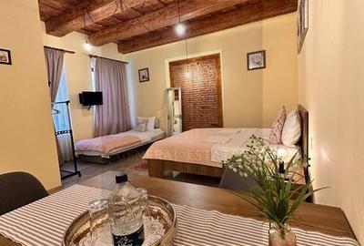 Comision 0! | Apartament investitie regim hotelier | Centrul Vechi - 1