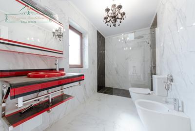 Duplex cu 6 camere cu Teren 500 Mp în Vladimirescu - 16