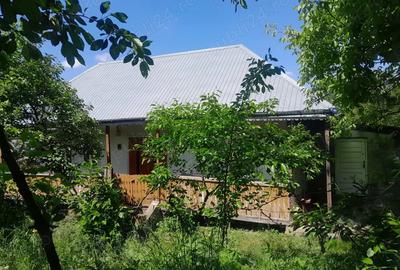 Vand casa in sat Hu?i ,com.Preute?ti,jud.Suceava - 2