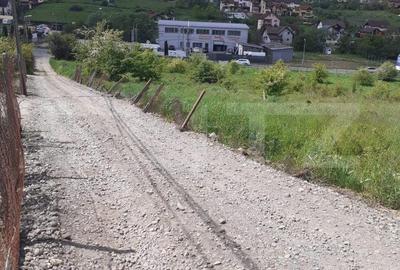 Teren de 16700 mp, în Corunca - 2