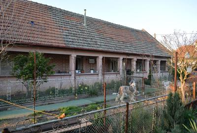 Casă individuală cu 5 camere cu Teren 1000 Mp în Ianova - 6