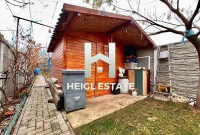 Casa 3 camere gata de mutat Sanandrei - 11