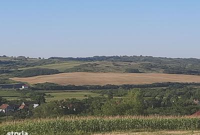 Teren de 894 mp, în Paleu - 2