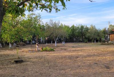 REL4000842 De vanzare teren intravilan 1000 mp. Corbeanca - 7