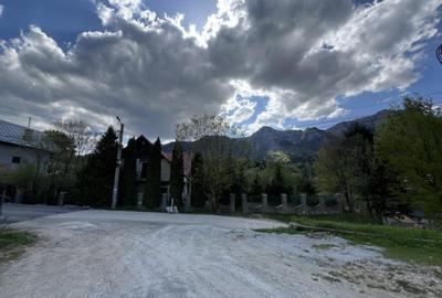 Teren intravilan Poiana Tapului. Tripla deschidere. Vedere l - 4