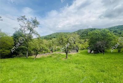 Teren de 1811 mp, în Sibiel - 5