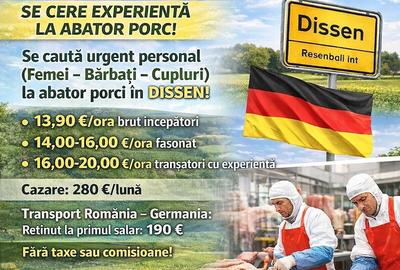 Casă cu 1 camere cu Teren 2 Mp în Central - 1