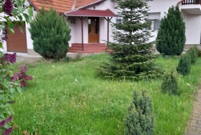 Casă cu 5 camere cu Teren 1100 Mp în Alma - 2