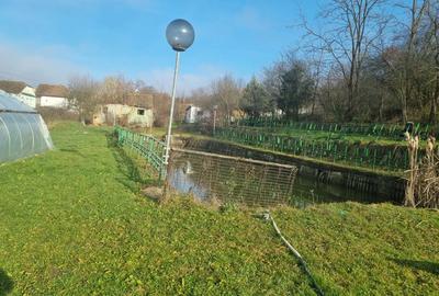 Casă cu 2 camere în Amnaș - 2