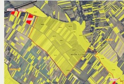 Vând 5ha teren agricol extravilan - 1