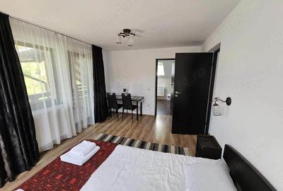 Inchiriez cabana Casa Diaconu - 4