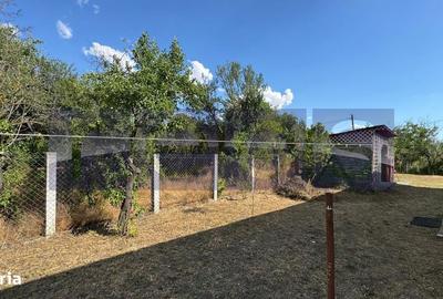 Casă cu 3 camere cu Teren 1300 Mp în Dobrotești - 2