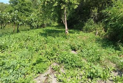 Casă cu 4 camere cu Teren 160 Mp în Anina - 20