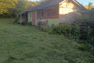 Casă cu 4 camere în Central - 2