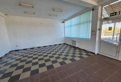 Spațiu Industrial și Comercial de Închiriat - Bascov - DN7C - 3