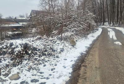 Teren de 9000 mp, în Păușești-Măglași - 5