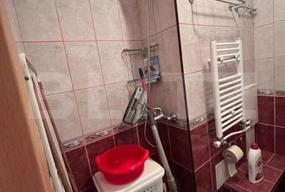Apartament cu 3 camere în Nufărul - 7