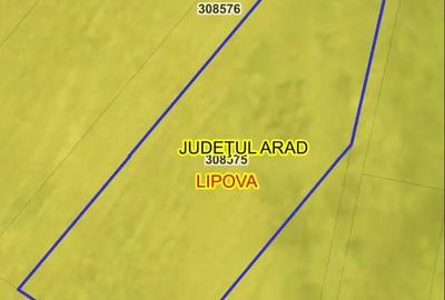 Teren de 5000 mp, în Radna - 3