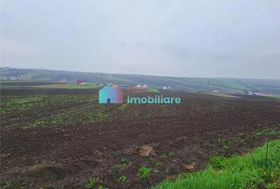 Teren intravilan 2391 mp in Sf. Ilie - 4