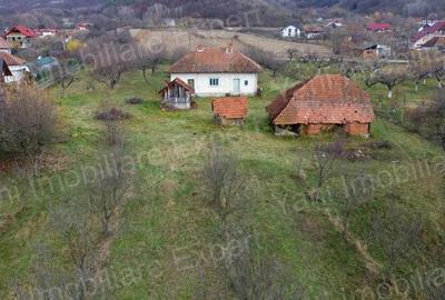 Teren 12.486 mp de vanzare in comuna Cepari, jude? Arge?. - 3
