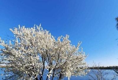 Apartament superb 3 camere gradina pe lac Damaroaia - 1