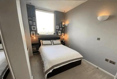 Apartament cu 2 camere de inchiriat in zona Lujerului - 9