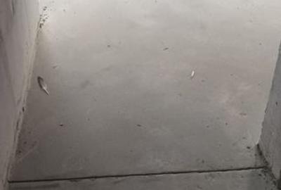 Casa 4 camere Kamsas - 5