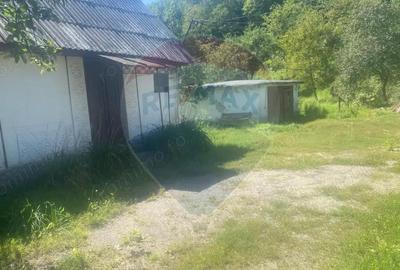 Teren de vanzare Baia Mare / Strada Firiza - 1