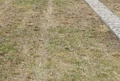 Casă cu 1 camere cu Teren 1000 Mp în Băbana - 8