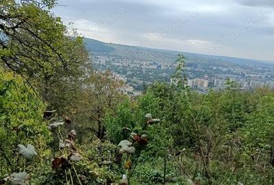 Vand casa la Platoul Cornesti. Nu doresc colab. cu Agentie imobiliara - 3