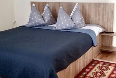 Casă cu 3 camere cu Teren 350 Mp în Beba Veche - 7