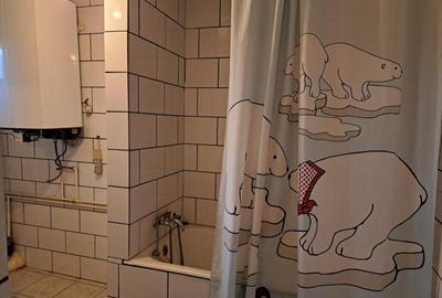 Casa mare cu 2 spatii comerciale, in Faget Casa mare cu 2 spatii comerciale, in Faget - 12