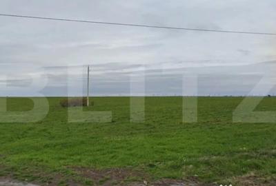 Teren de 16000 mp, în Central - 2