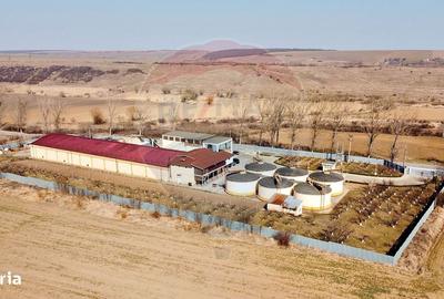 Spațiu comercial, de 2,800 mp, în Tecucelu Sec - 1