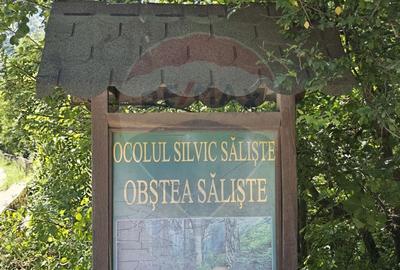 Teren 4,000mp Pascoaia / Soseaua Punctul Chiliilor - 12