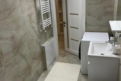 Inchiriere un apartament de 1 camera zona Gruia - 4