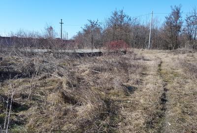 Clinceni str Ciocarliei,construibil,469mp,deschidere 21ml,utilitati,comision 0% - 3