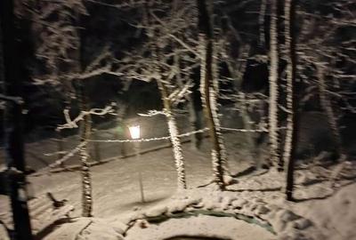 Casă cu 4 camere cu Teren 750 Mp în Gavojdia - 5