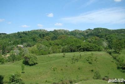 Teren de 5800 mp, în Valea