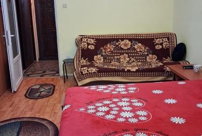 Garsonieră semidecomandată, mobilată în Brazda lui Novac - 1