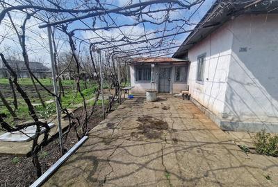 Casă cu 4 camere cu Teren 2170 Mp în Nucetu - 5