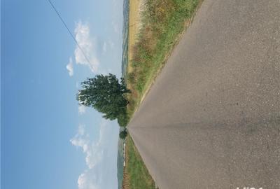 Teren de 5000 mp, în Pleașa - 5