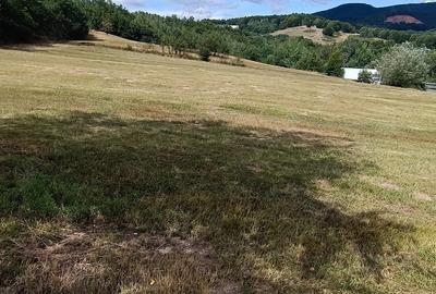 Teren de 2302 mp, în Bucea - 3