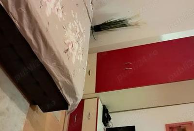 Inchiriez apartament cu 1 camera baie ,bucatarie ?i hol - 3