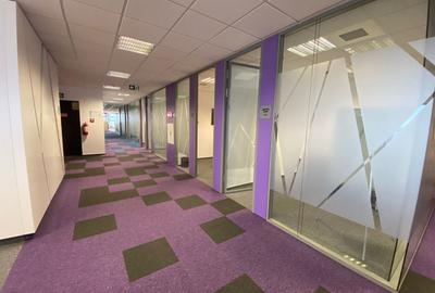 Birou, de 600 mp, în Nord - 15