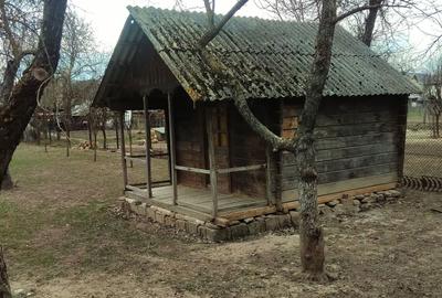 Casă cu 1 camere în Bogdan Vodă - 8