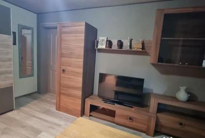 Apartament cu 2 camere semidecomandat, mobilat în Brazda lui Novac - 8