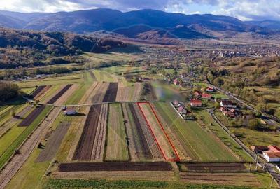 Teren extravilan Petros /  Baru ,jud Hunedoara - 1