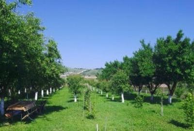 Casa de vanzare in Calan - 4